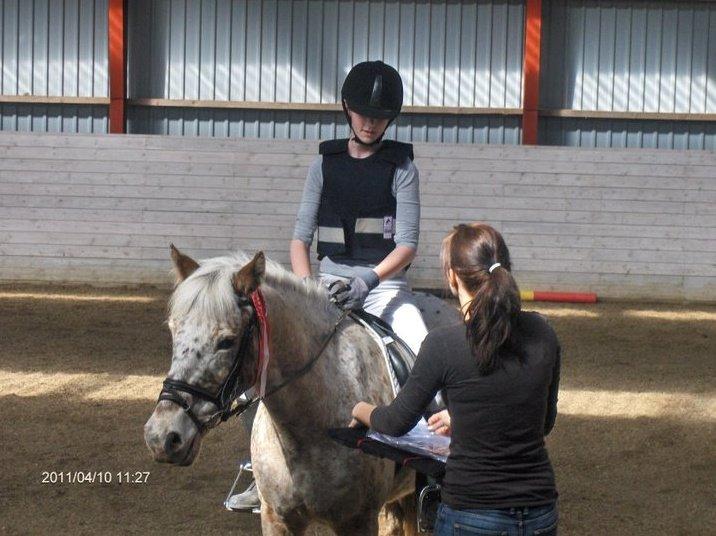 Anden særlig race Ofelia | Min evige optur.<3 | - Ofelia og mig til premieoverrakkelse, til springstævne 2011 - Foto: Mor. billede 13