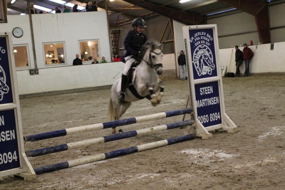 Anden særlig race Vestergårds FILUR<3 (MY LOVE) - ( Velkommen til vestergård filur håber i kan lide ham)
vuptig så sprang vi da var natasja<3<3 billede 1