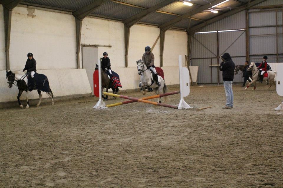 Anden særlig race Vestergårds FILUR<3 (MY LOVE) - Mig og mor opvarmer på kryds til stævne hvor jeg var mega god<3<3 billede 2