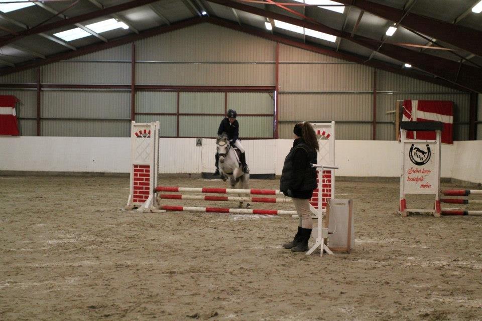 Anden særlig race Vestergårds FILUR<3 (MY LOVE) - Mor jeg elsker dig<3<3<3<3<3<3 billede 4