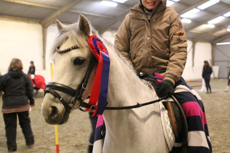 Anden særlig race Vestergårds FILUR<3 (MY LOVE) - Mor blev rigtig glad da vi fik en rosset<3 billede 5