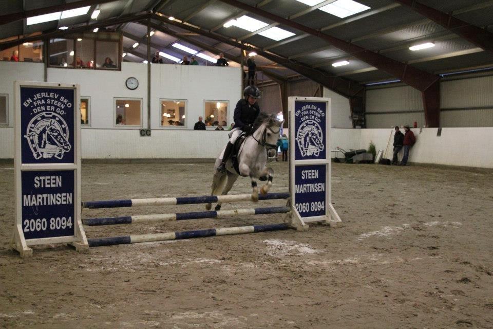 Anden særlig race Vestergårds FILUR<3 (MY LOVE) - Det her er omspringning  så vi kom ikke lige på men jeg er jo god til de vendinger siger mor<3<3<3<3 billede 6