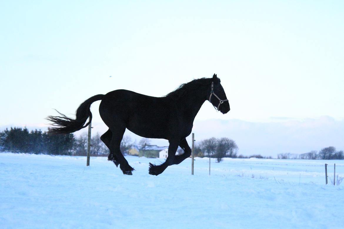 Frieser Joukje Oldaa J billede 18