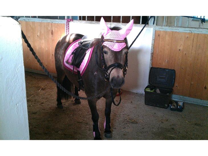 {{currentPhoto.altText}} billede {{currentPhoto.number}}