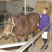 Anden særlig race stephanie/steffi