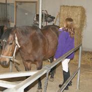 Anden særlig race stephanie/steffi