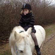 Anden særlig race Bella