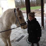 Anden særlig race Bella