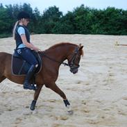 Anden særlig race Apple