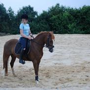 Anden særlig race Apple