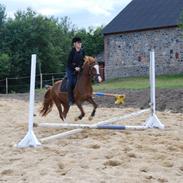 Anden særlig race Apple