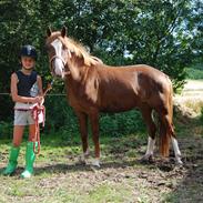 Anden særlig race Apple