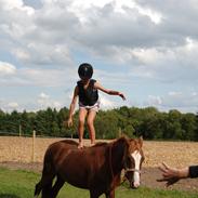 Anden særlig race Apple