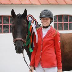 Welsh Cob (sec D) Laban Søholt.