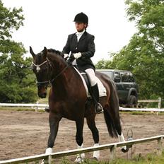 Anden særlig race Shaheen Miró