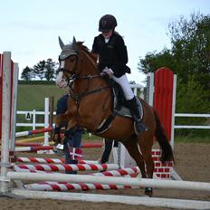 Anden særlig race Tarzan