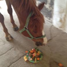 Anden særlig race Tarzan