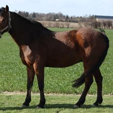 DSP zeba <3 <3 min part