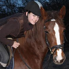 DSP Savannah Amour<3 