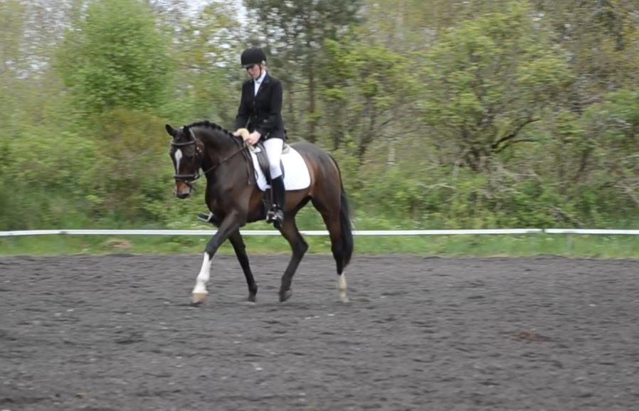 Holstener Lana billede 3