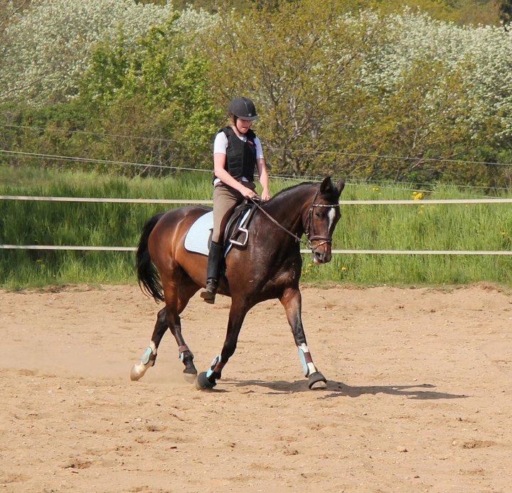 Holstener Lana billede 5