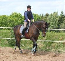 Holstener Lana billede 6