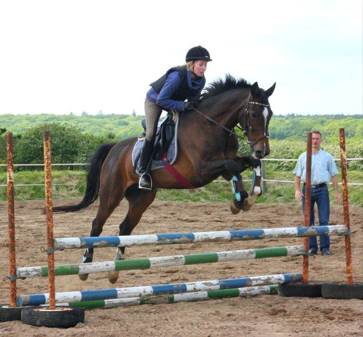 Holstener Lana billede 7