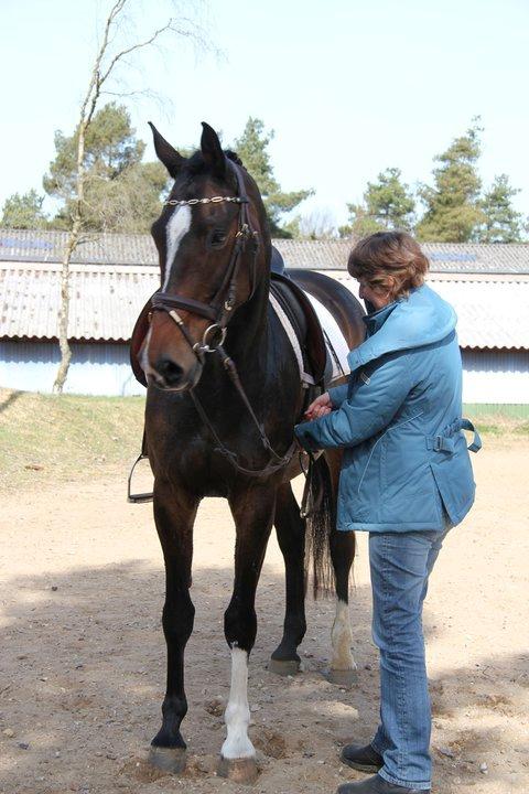 Holstener Lana billede 8