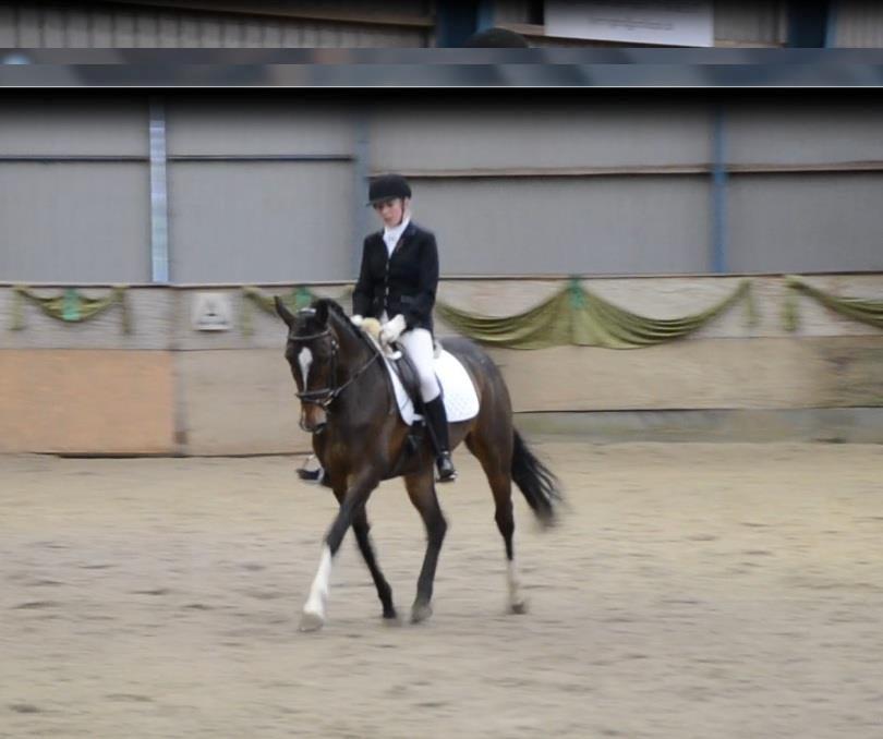 Holstener Lana billede 10