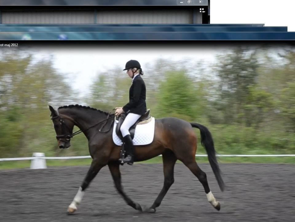 Holstener Lana billede 11