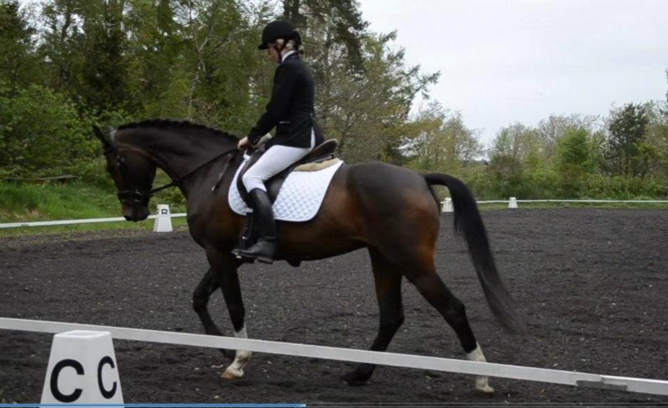 Holstener Lana billede 12