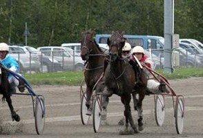 Traver Ensom Ann billede 4