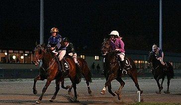 Traver Ensom Ann billede 7