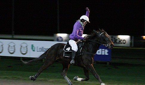 Traver Ensom Ann billede 8