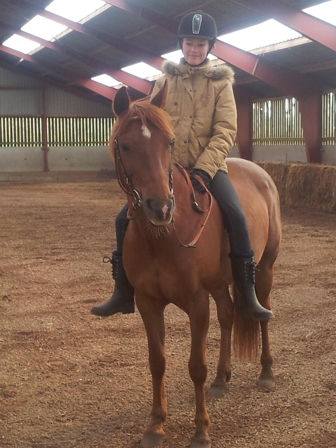 Anden særlig race Ponygården's Megara - Dette billede viser bare hvor langt vi er kommet, og længere endu:)  billede 3