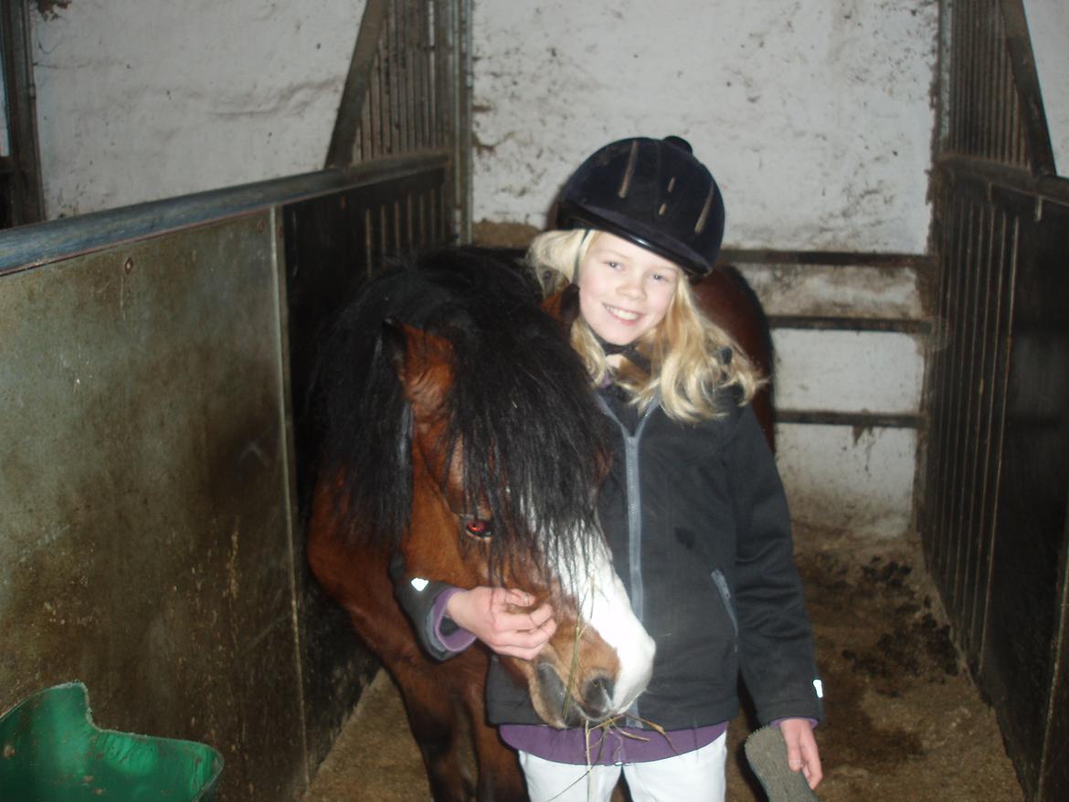 Welsh Mountain (sec A) Barbie - mig og Barbie 2011-2012 billede 13