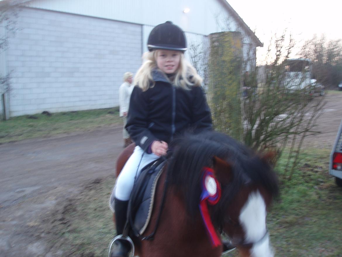 Welsh Mountain (sec A) Barbie - mig og Barbie efter en spring klasse 2011 billede 14