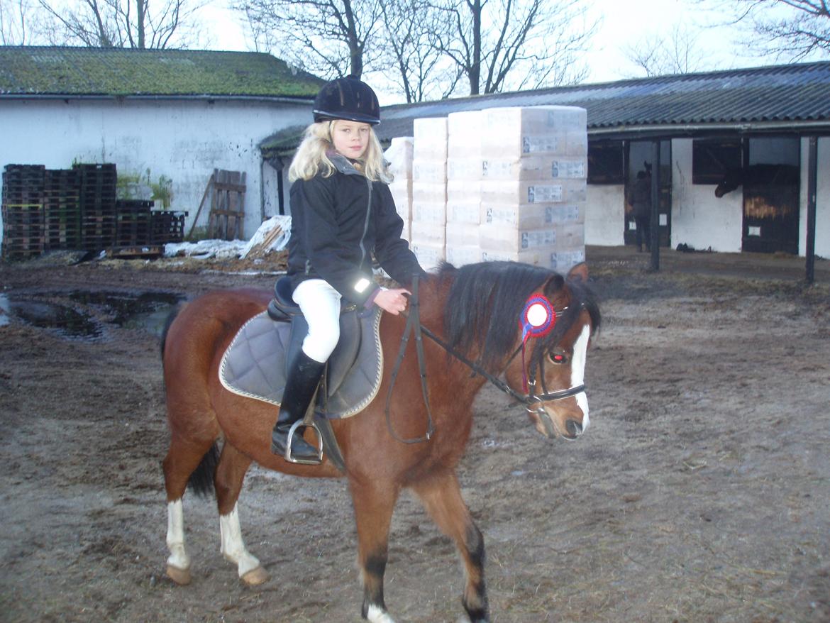Welsh Mountain (sec A) Barbie - Barbie og mig 2011 billede 15