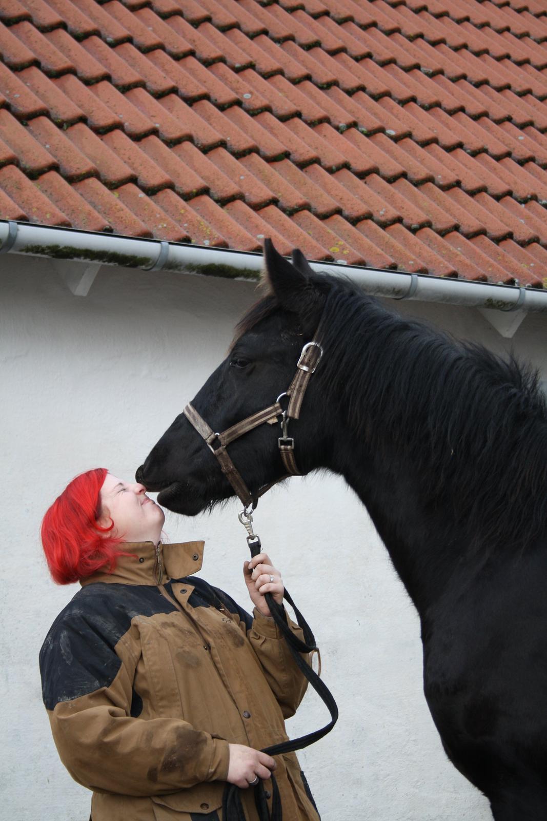 Anden særlig race Stald Handbergs casanova - d.1/1-13 foto stine billede 15