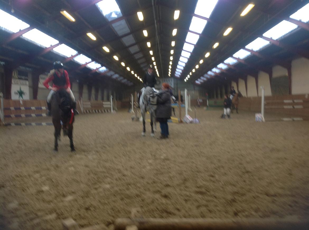 Holstener Cassie - Cassie & jeg til første stævne, her nummer 2 i LC. December 2012. billede 2