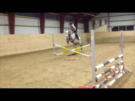 Holstener Cassie - Første gang jeg sprang hende:-) November 2012.  billede 4