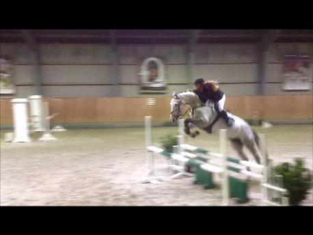 Holstener Cassie - Cassie til vores første C-stævne, her en nulrunde i U-LC:-) Januar 2013.  billede 5