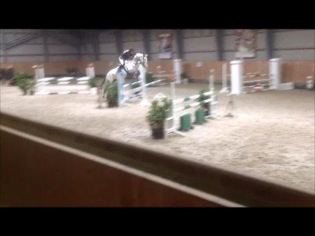 Holstener Cassie - Cassie til vores første C-stævne, her en nulrunde i LB*:-) Januar 2013.  billede 6