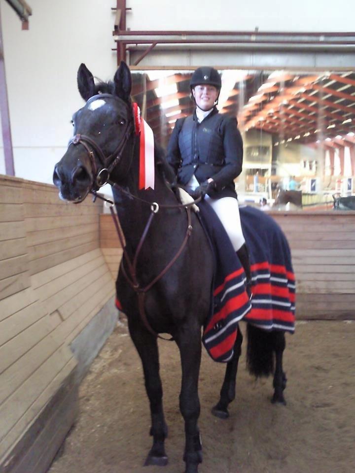 Dansk Varmblod - Carnival (B-HEST) [HIMMEL HEST] - 12) billede 12