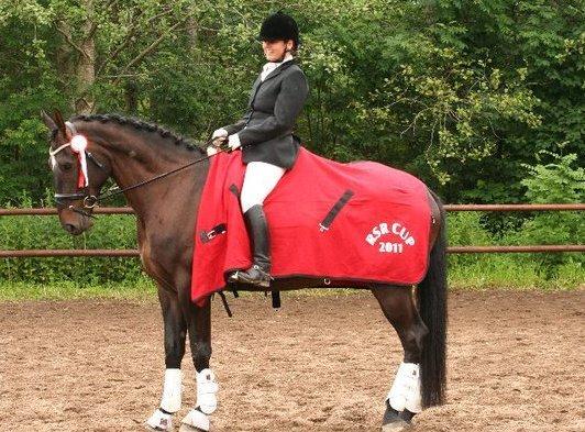 Anden særlig race Shaheen Miró billede 1