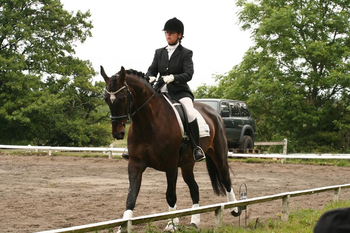 Anden særlig race Shaheen Miró billede 3