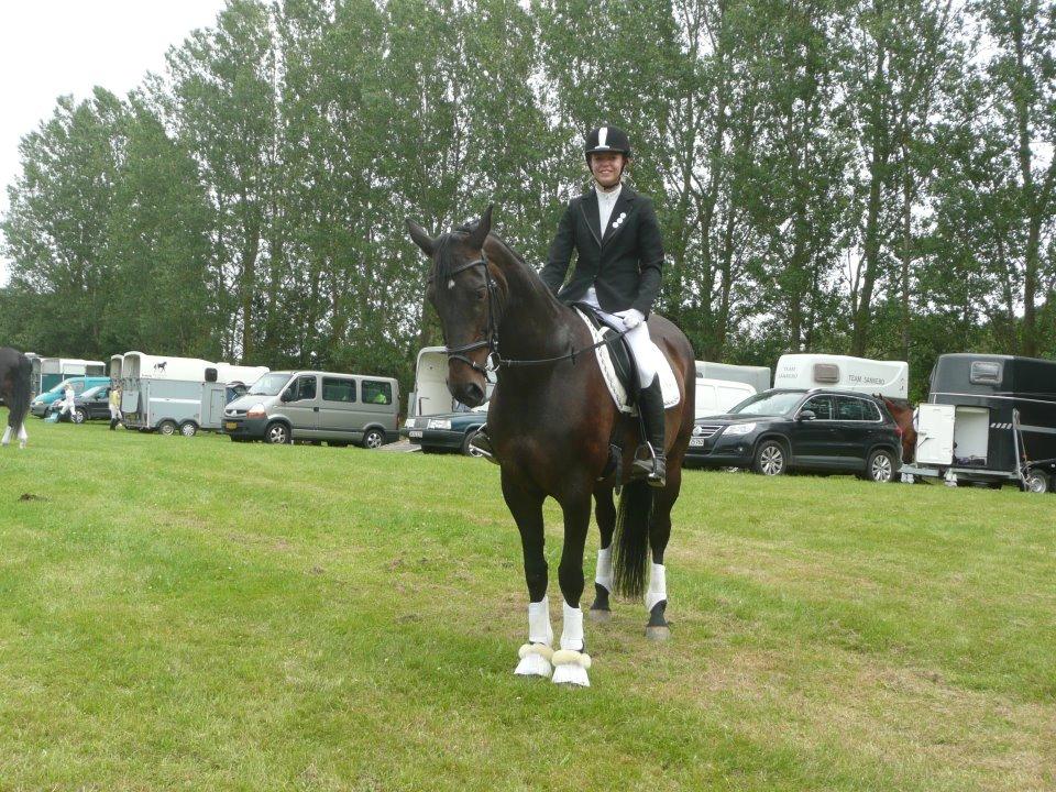 Dansk Varmblod Duet billede 2