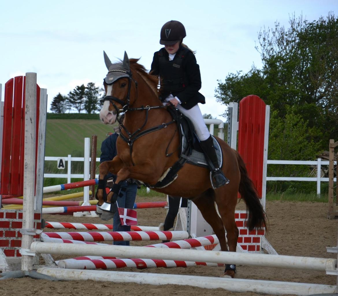 Anden særlig race Tarzan - Lidt tid siden men det var super hyggeligt<'33 billede 1