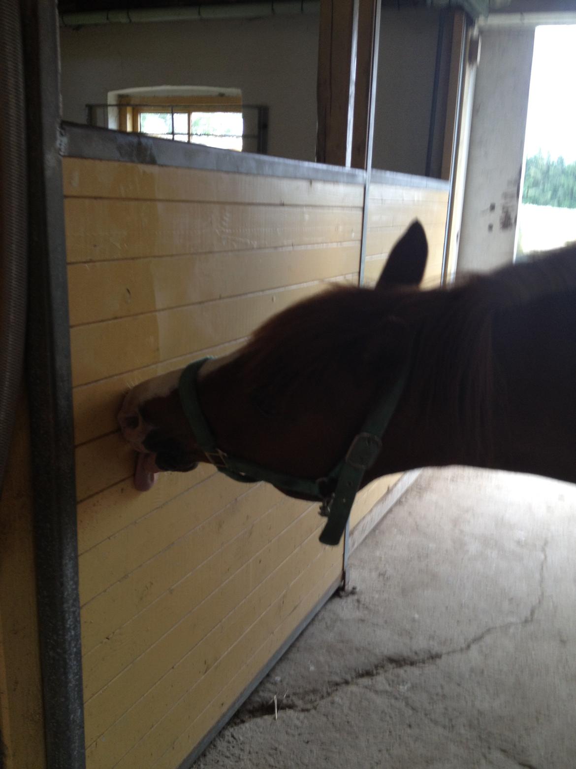 Anden særlig race Tarzan - Tarzan's Fødselsdag<<<333 billede 3