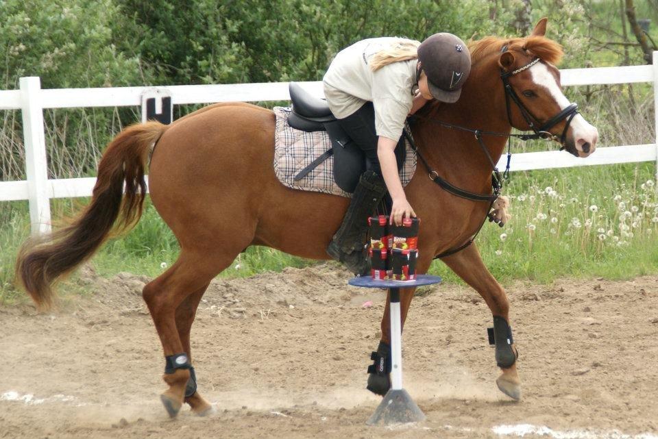 Anden særlig race Tarzan - Til ponygames med den skønne Kajsa<3 Men lidt tid siden...! billede 5